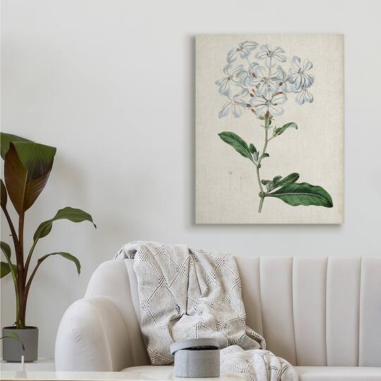 Stupell Industries Rustic Garden Floral Study Charming White Blossoms Canvas Wall Art